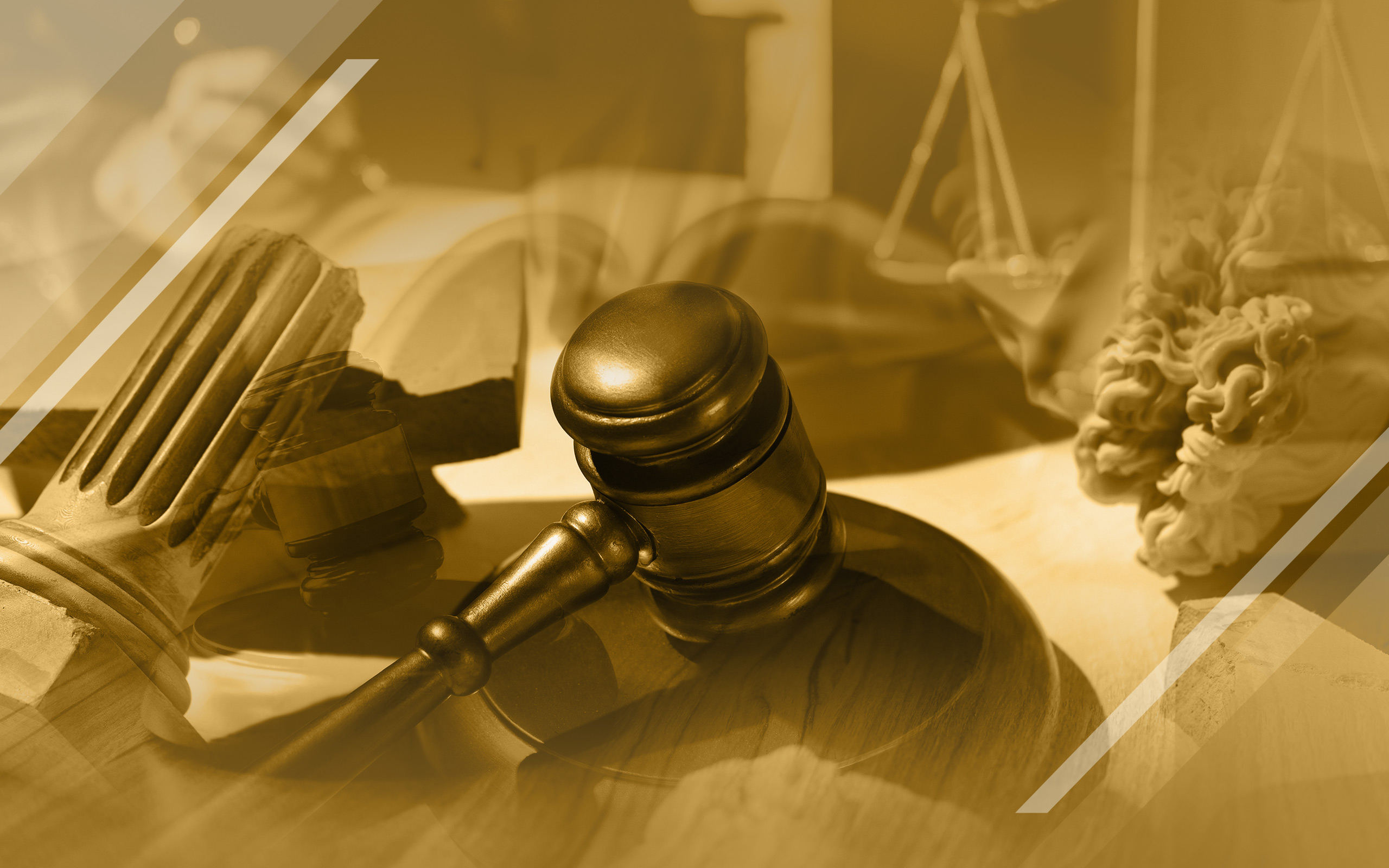 Argumentación Jurídica y Litigación Oral