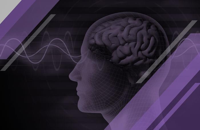 Neuromarketing y Desarrollo de Negocios